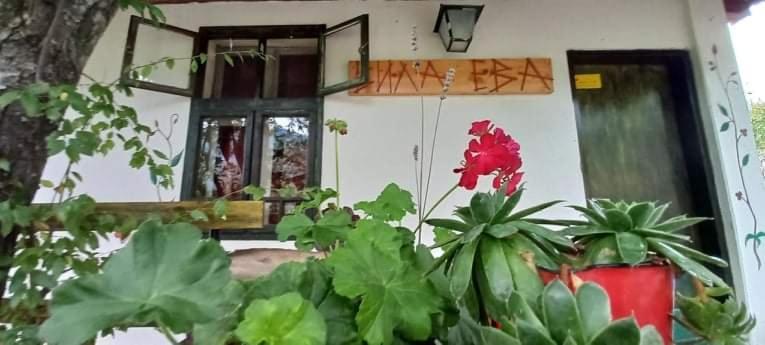 Vila Eva Meduvrsje エクステリア 写真